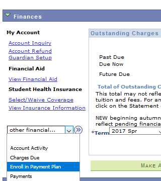 Other Financial… drop-down menu in the Finances section of myBuckeye Link