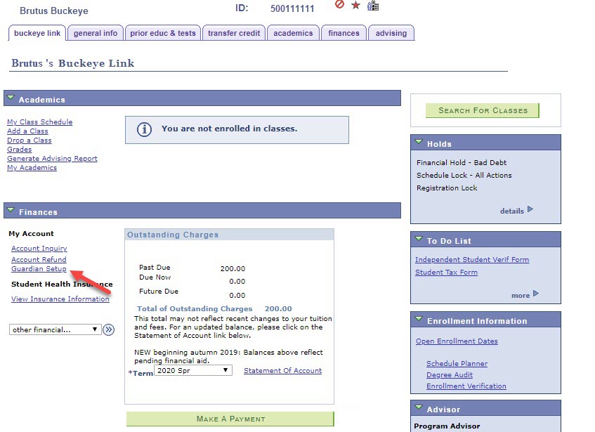 Brutus's MyBuckeyeLink landing page. Sections that are displayed include: Academics, Finances, Holds, To Do List, Enrollment Information  and Advisor. A Guardian Setup  button appears in the Finances section under My Account  