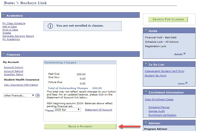  Brutus's My Buckeye Link Page featuring Academics, Finances, Personal Information, Holds, To Do List, Enrollment Information and Advisor sections.