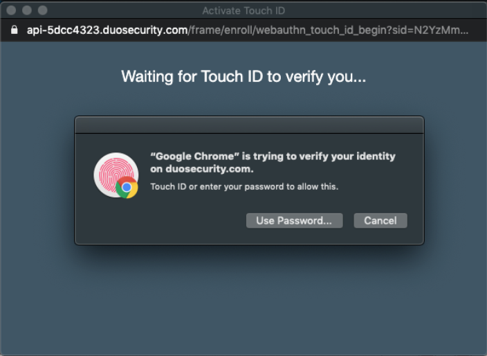 Chrome Browser window asking you to verify your identity