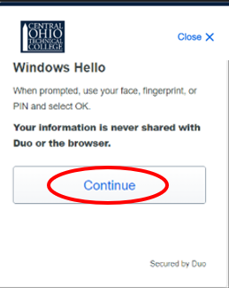 Windows Hello continue window
