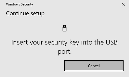 Windows prompt to insert security key