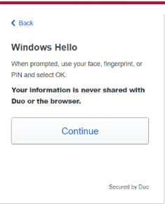 Windows Hello continue window