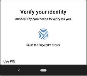Image of Biometric prompt