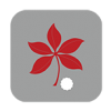My Buckeye Link icon